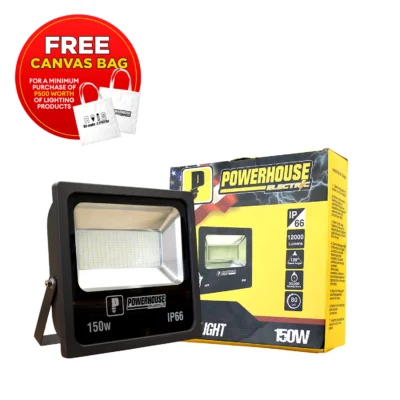 LED Flood Light 150W Daylight
